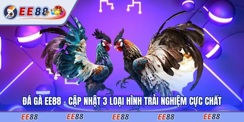 ĐÁ GÀ EE88
